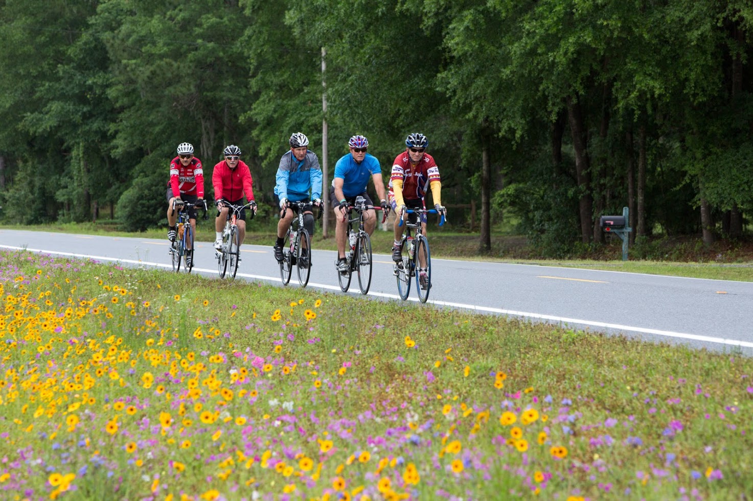 Cyclists